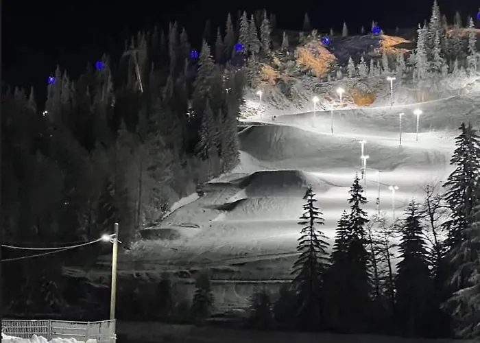 Apartment 19 - To Door Jahorina