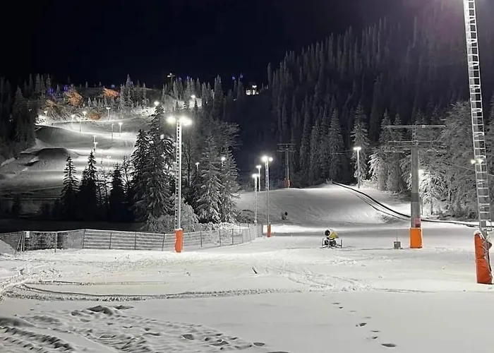 19 - To Door Apartment Jahorina